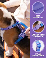 DF Freedom Harness padded handle aids secure lifting for obstacles or vehicle entries.