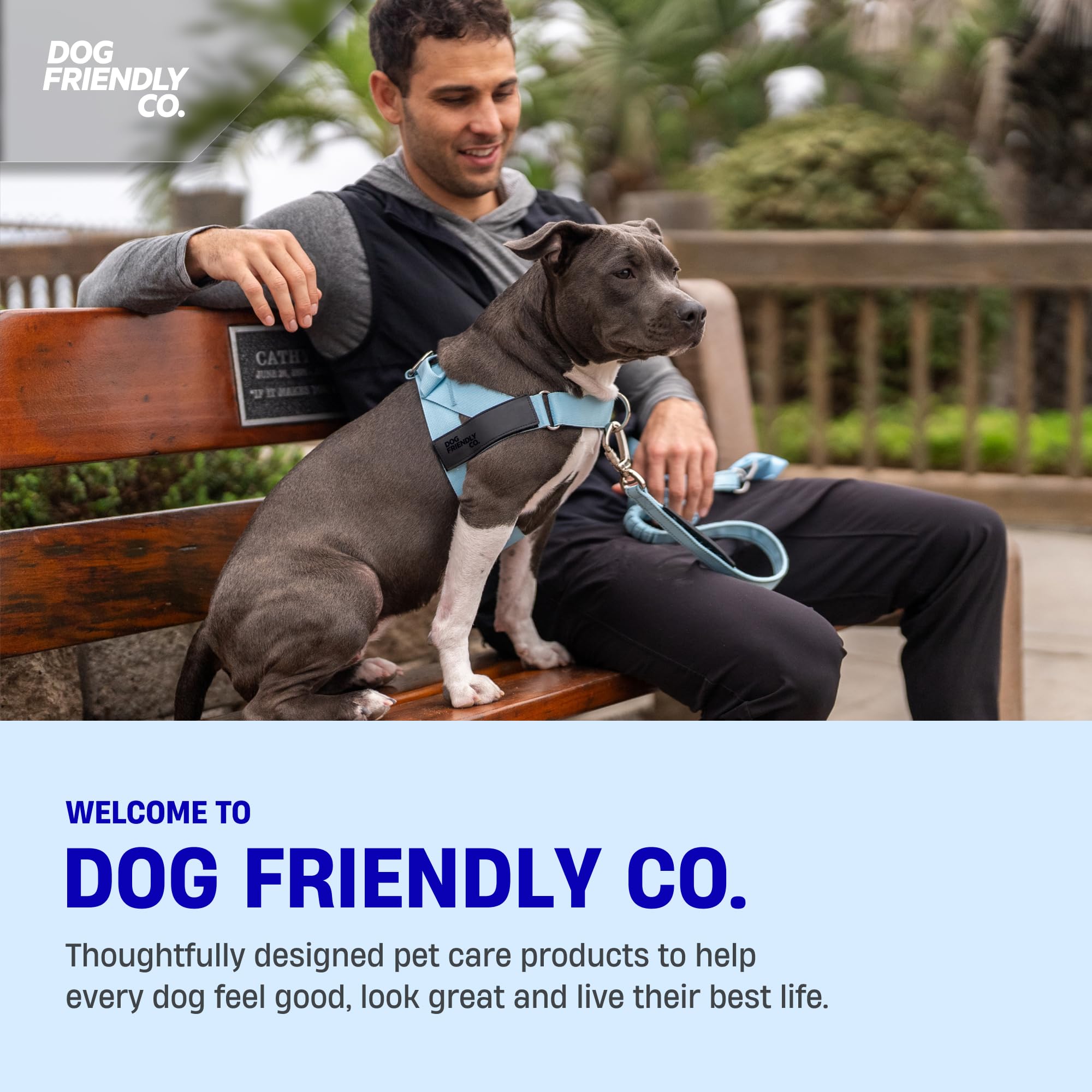 DF Co Bungee Leash all-weather durability for daily use.