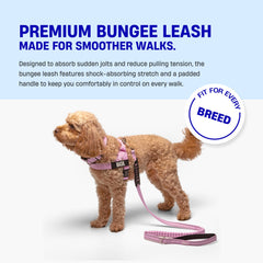 DF Co Bungee Leash heavy clip keeps your dog securely attached on walks.
