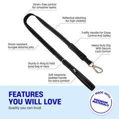DF Co Bungee Leash neoprene handle delivers cushioned grip during longer strolls.
