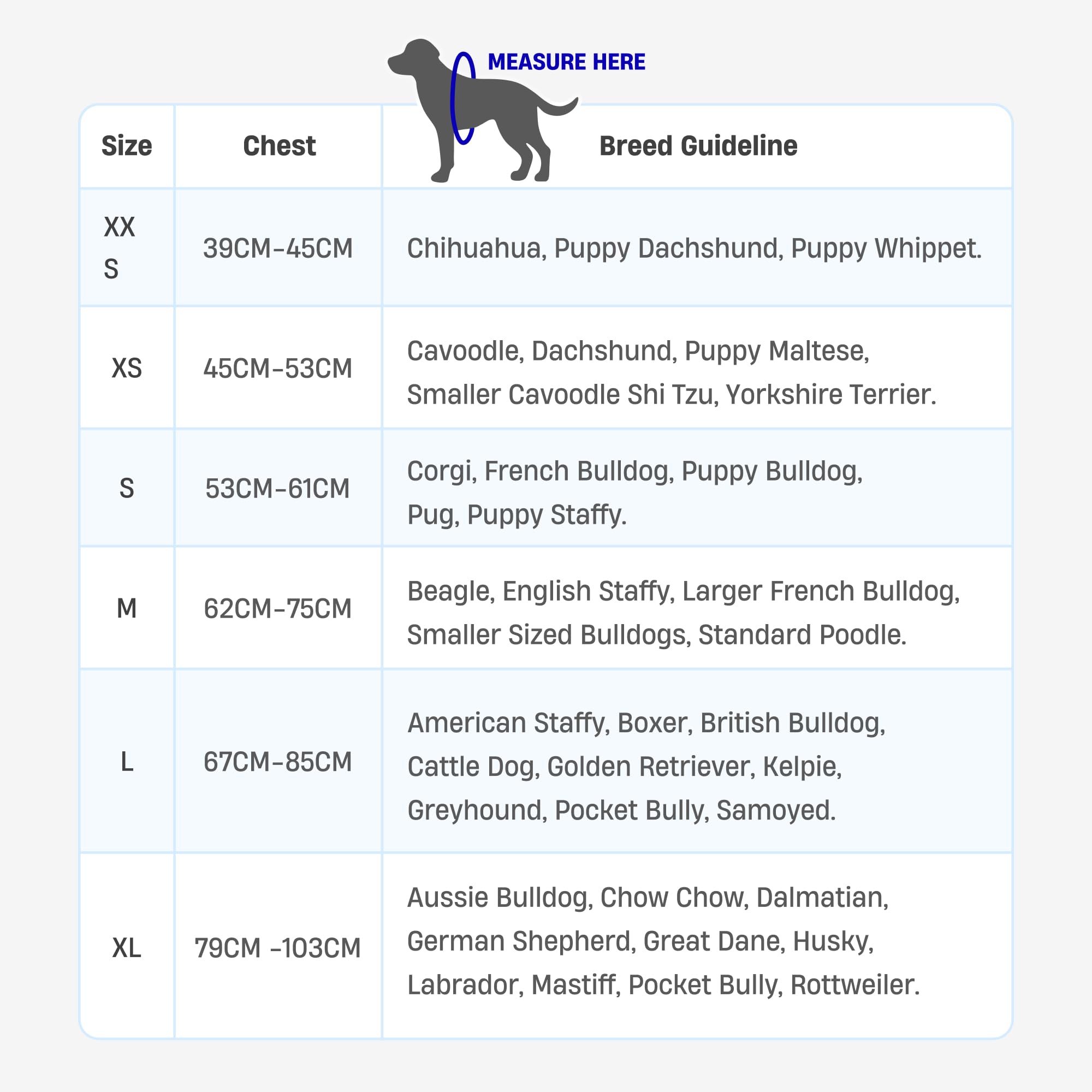 DF Co Bungee Leash small size fits smaller dogs and harnesses.