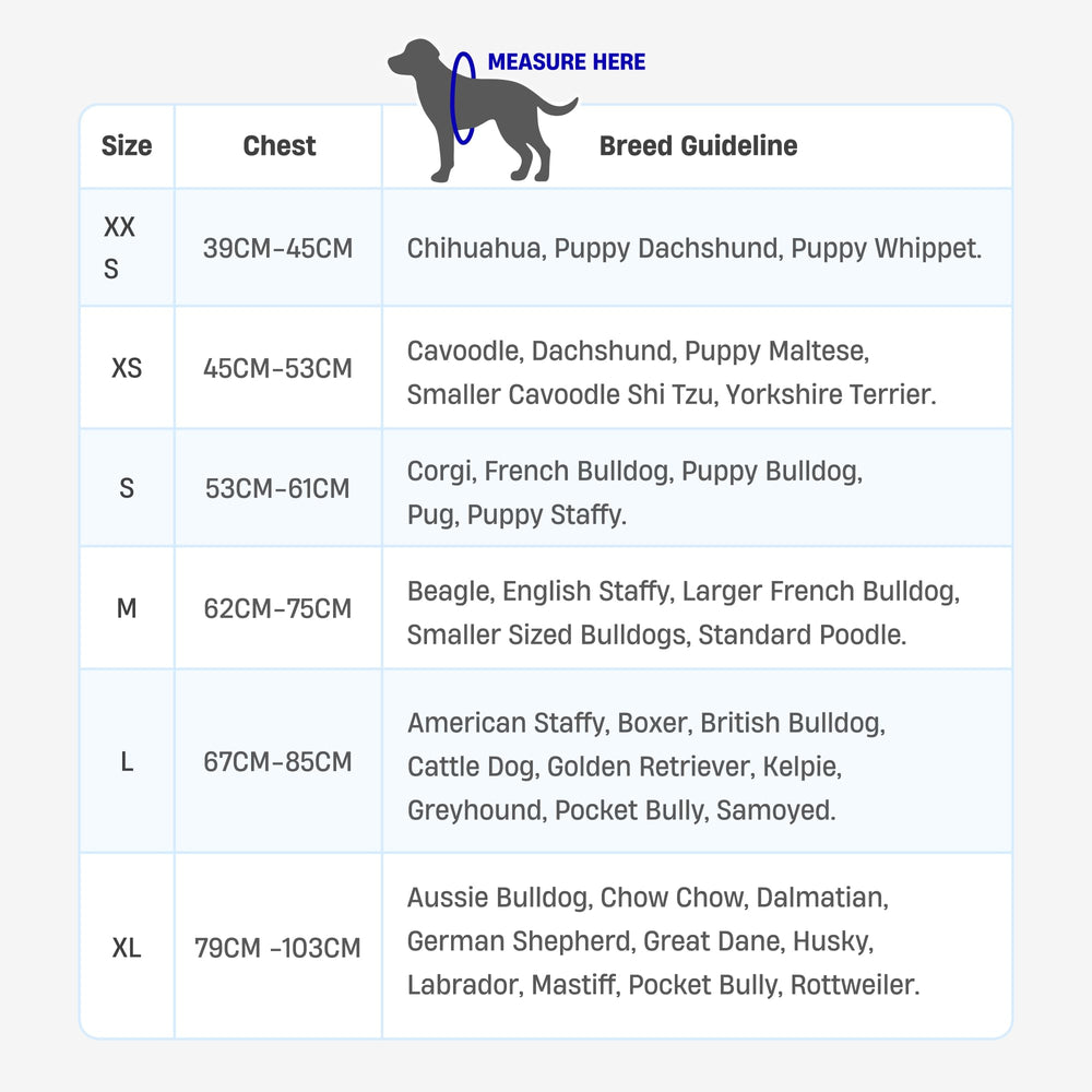 DF Co Bungee Leash small size fits smaller dogs and harnesses.
