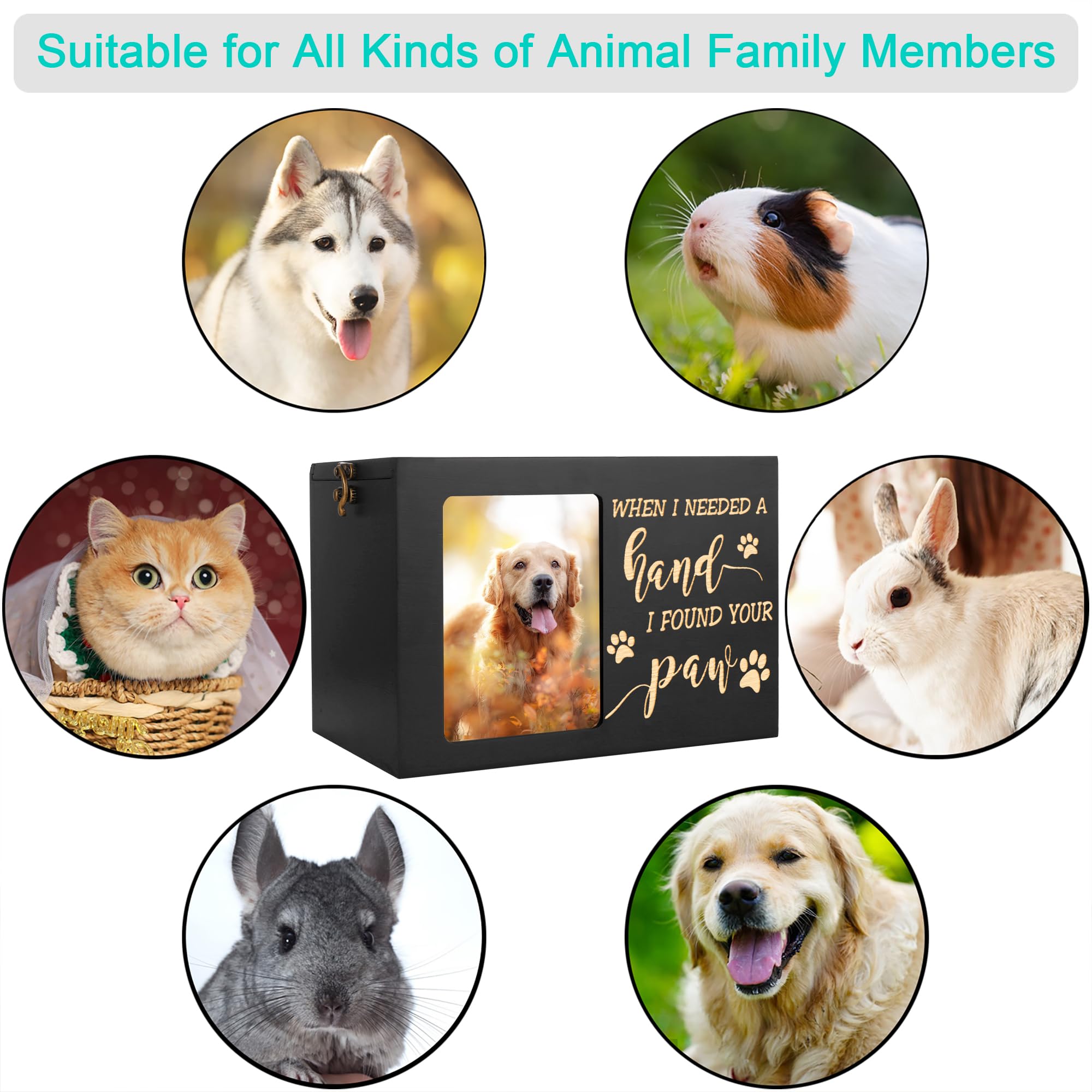 DGDCDV pet urn interior with black flannel lines ashes gently