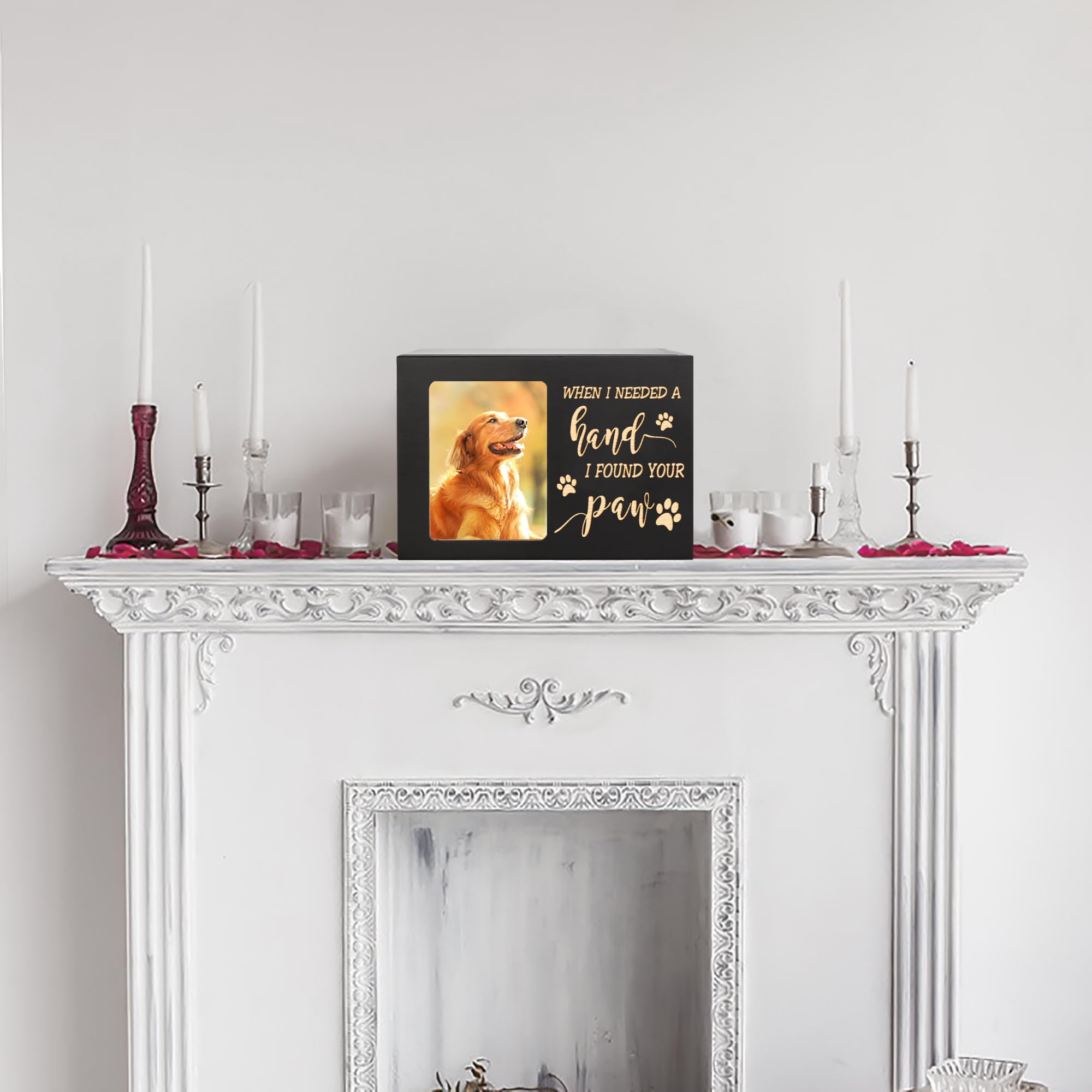 DGDCDV pet urn photo frame closeup shows cherished moments