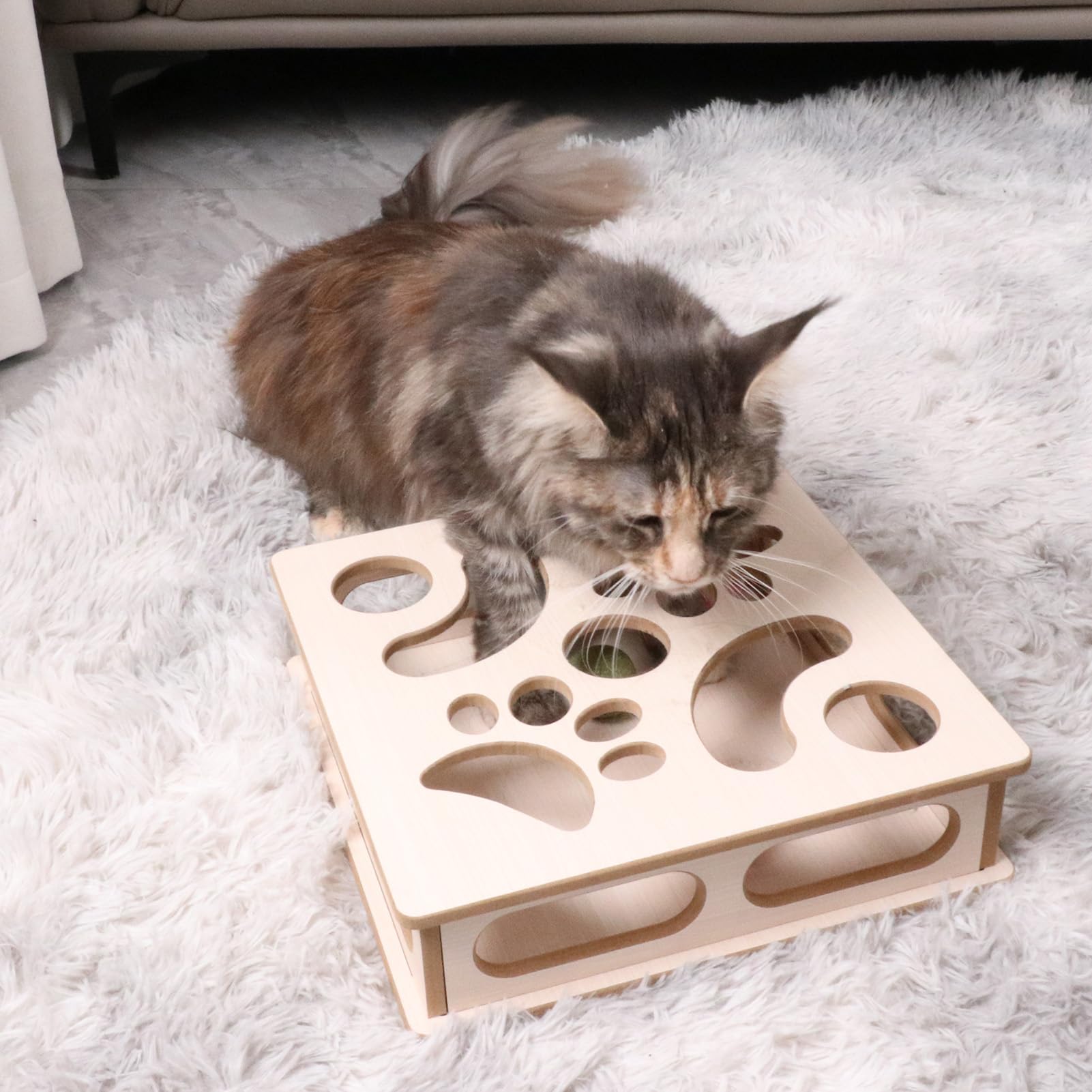 DI BI GRAMAS Cat Interactive Box Puzzle Toy close-up-wood grain emphasizes natural materials