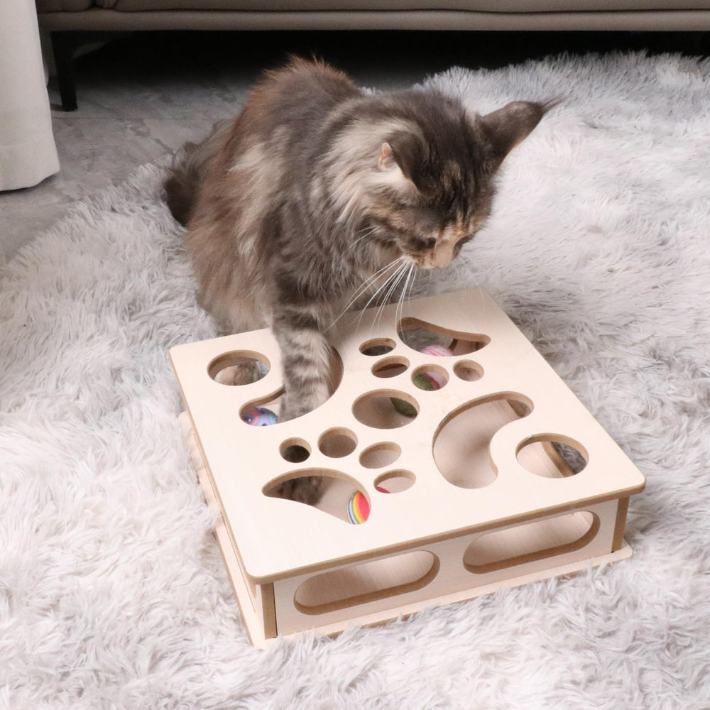 DI BI GRAMAS Cat Interactive Box Puzzle Toy no-assembly required for instant setup