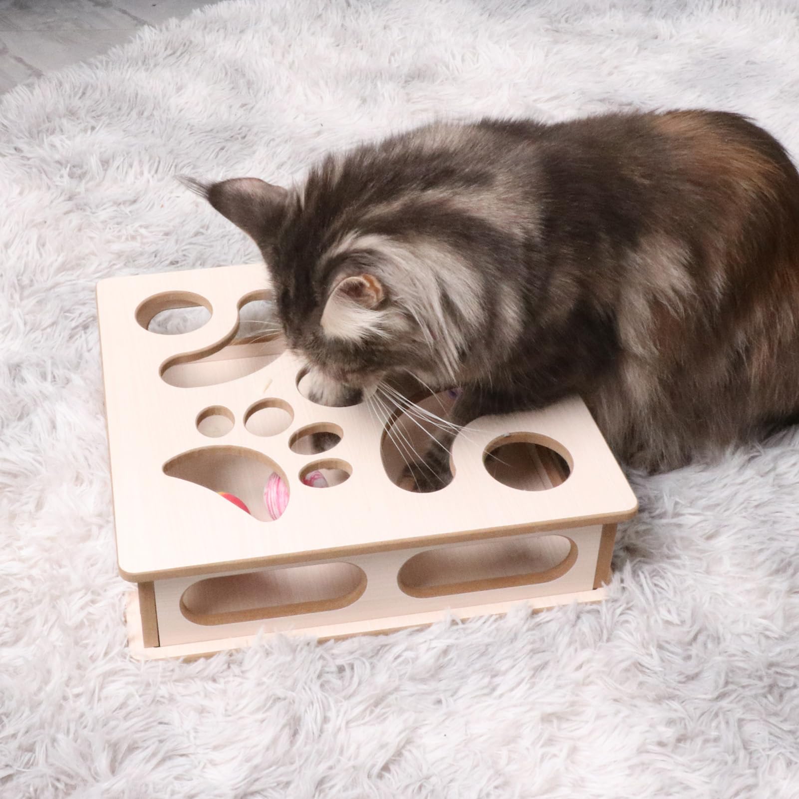 DI BI GRAMAS Cat Interactive Box Puzzle Toy safety design highlights curved corners
