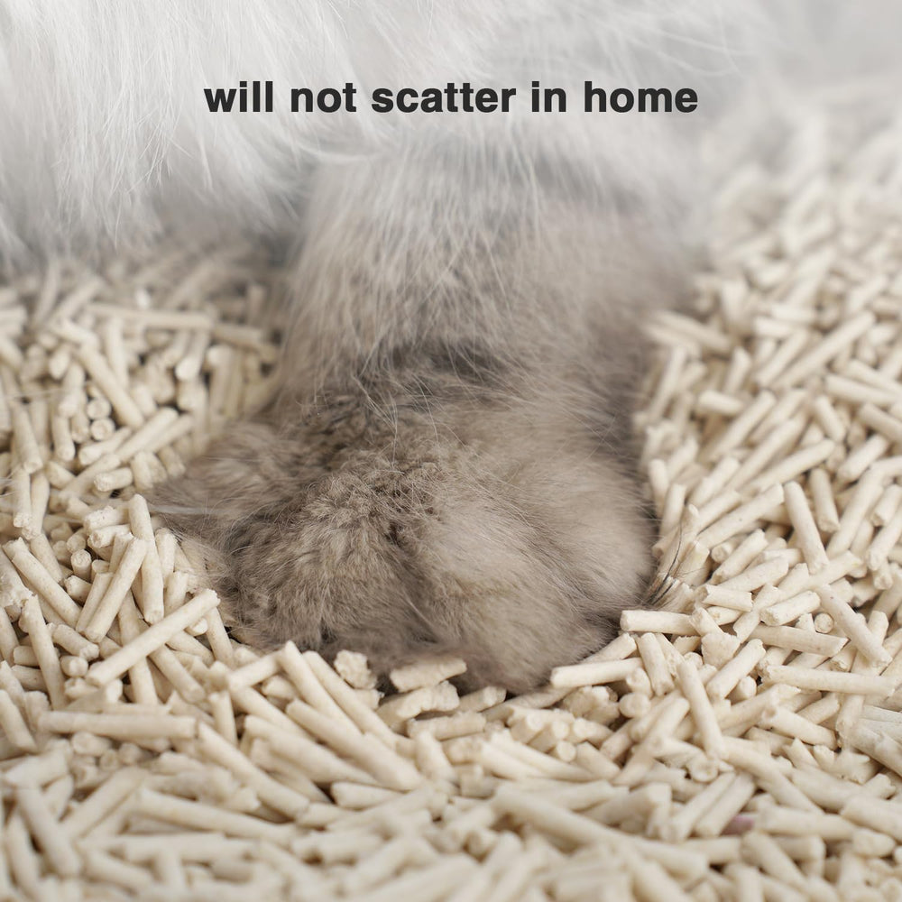 DI BI GRAMAS long-strip design reduces paw tracking around the house.