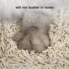 DI BI GRAMAS long-strip design reduces paw tracking around the house.