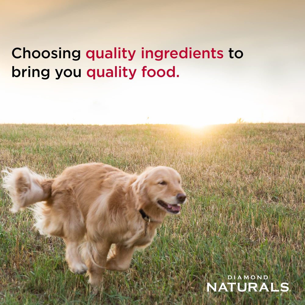Diamond Naturals Lamb Dinner real lamb ingredient—primary protein for joints and muscles