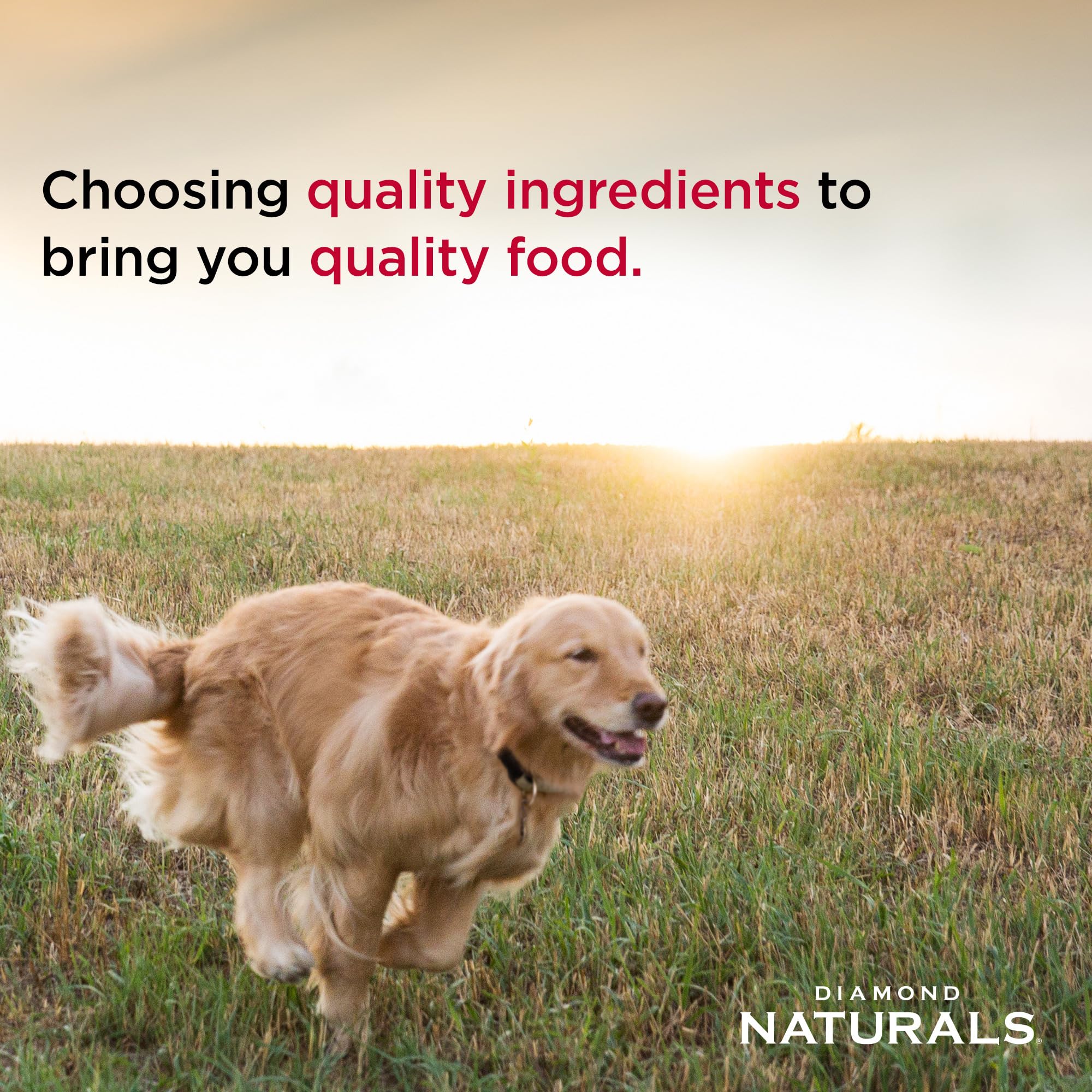 Diamond Naturals omega fatty acids support healthy skin and coat