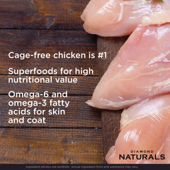 Blueberries and oranges highlight Diamond Naturals superfoods for vitality in small dogs.