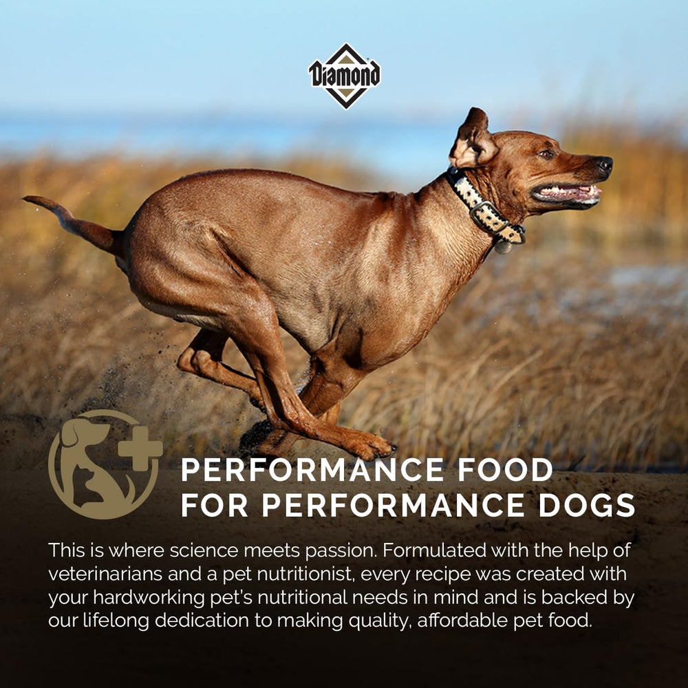 Diamond Premium omega fats promote coat shine and skin health