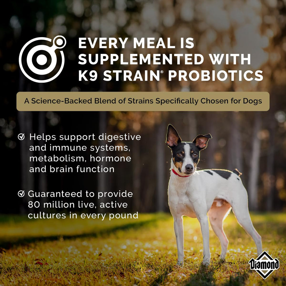 Diamond Premium glucosamine supports joints and mobility