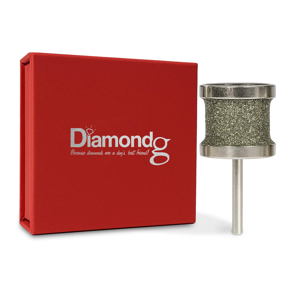 Diamondg dog nail grinder bit with 60 grit body for trimming thick nails efficiently