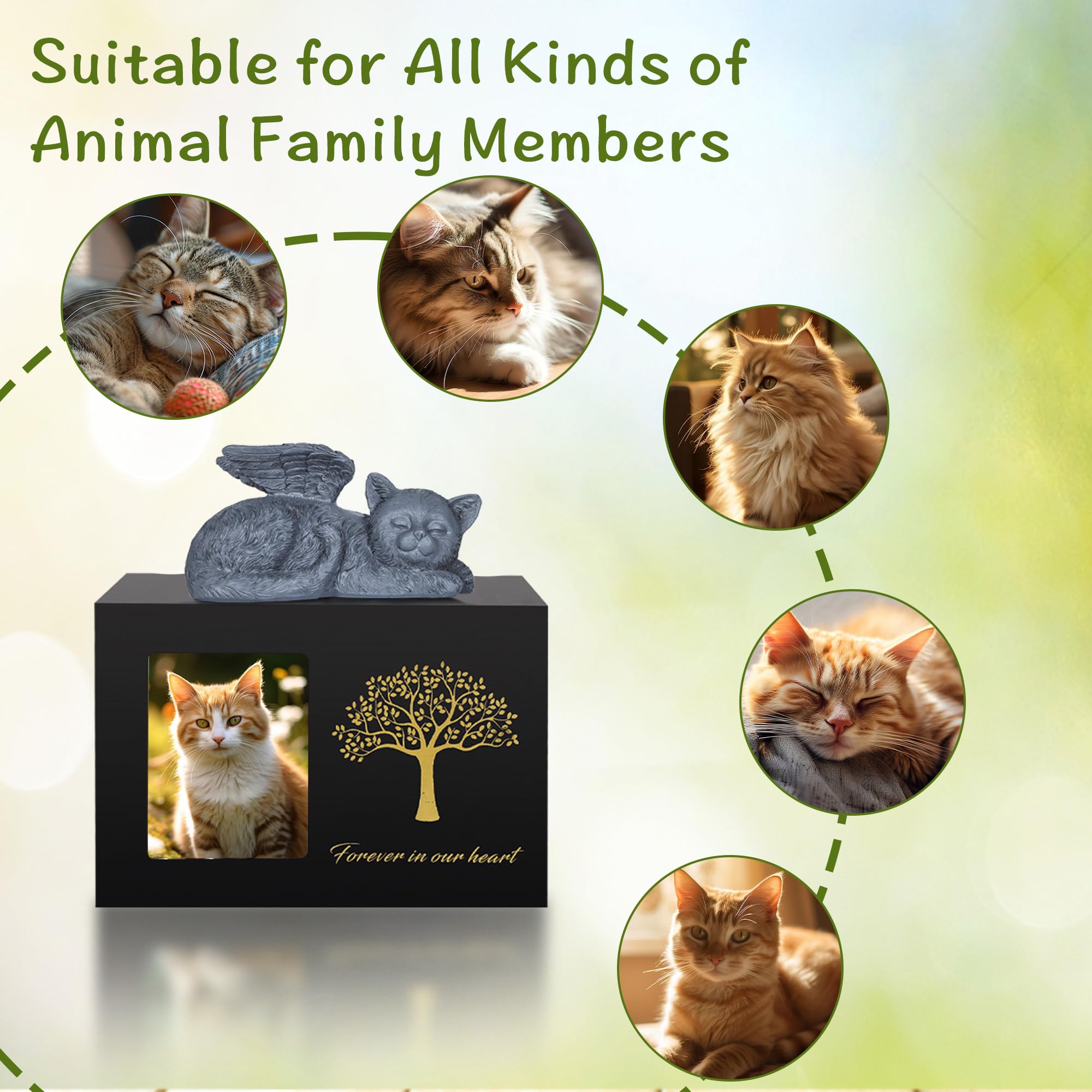 DiDiBirDi Cat Urn Size Dimensions shows 18x12 cm capacity for cat ashes.