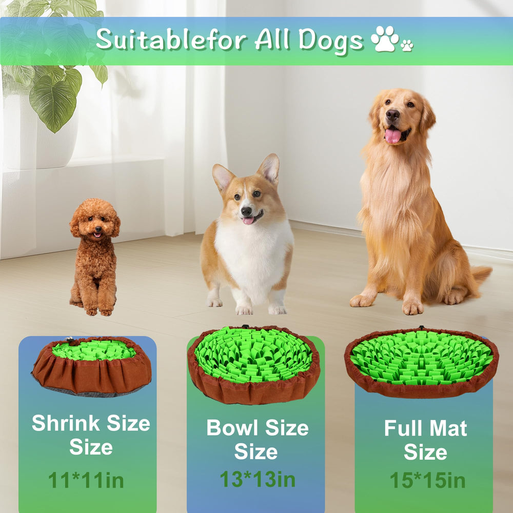 DiDiBirDi snuffle mat sniffing pads provide two zones for reward discovery.
