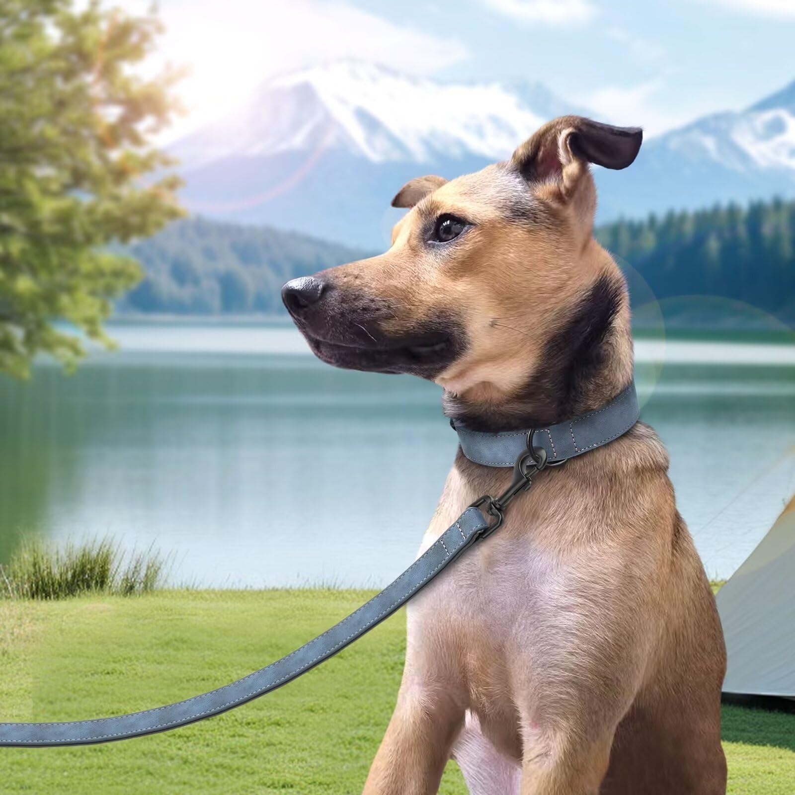 Didog 4ft PU leather dog leash blue with durable grip for control.