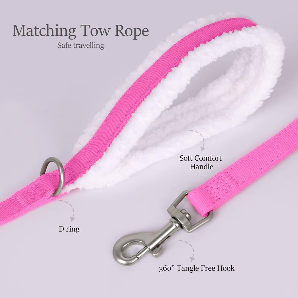 Didog 5ft leash attachment image highlights complete set for safe neighborhood walks.