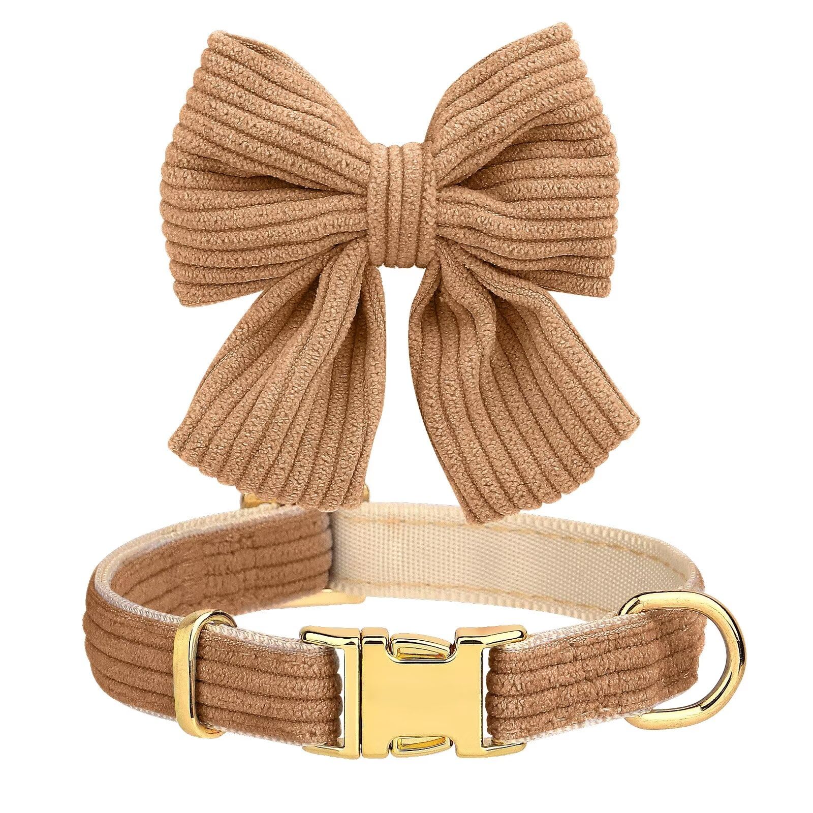 Didog 5ft leash with bow adds reach for safe outdoor exploration.