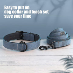 Didog adjustable metal buckle collar blue ensuring secure fit.
