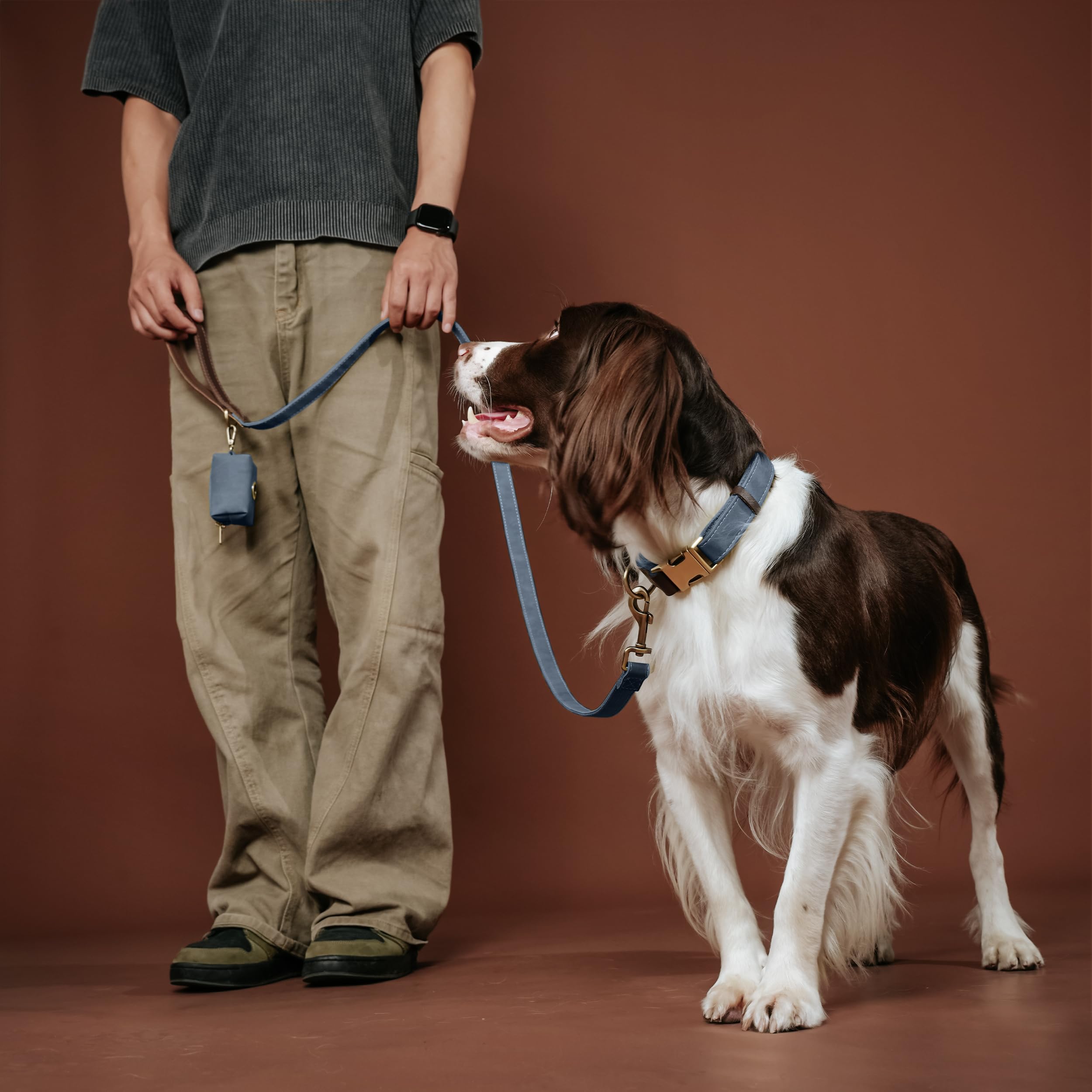 Didog blue collar with D-ring for secure leash attachment.
