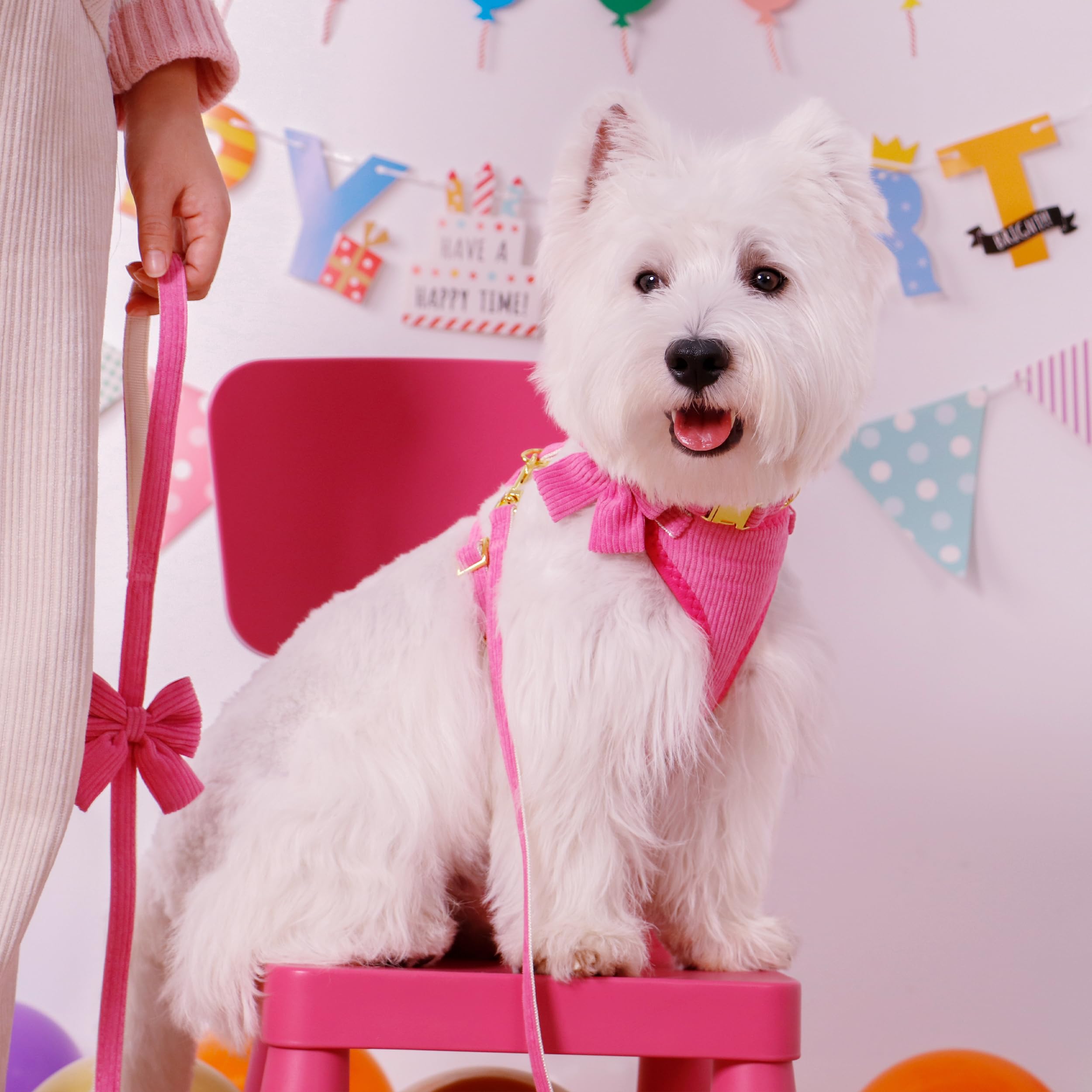 Didog breathable airmesh harness in hot pink keeps pets cool