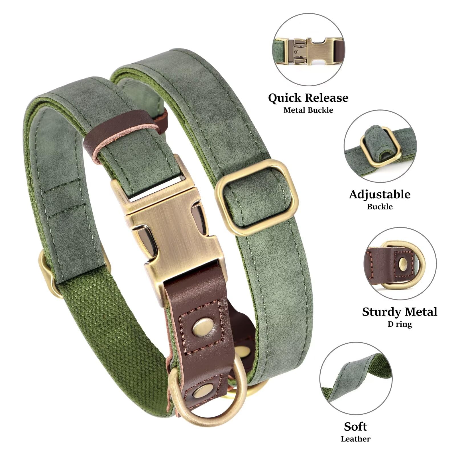 Cierre rápido de metal en collar Didog verde, fácil de colocar.