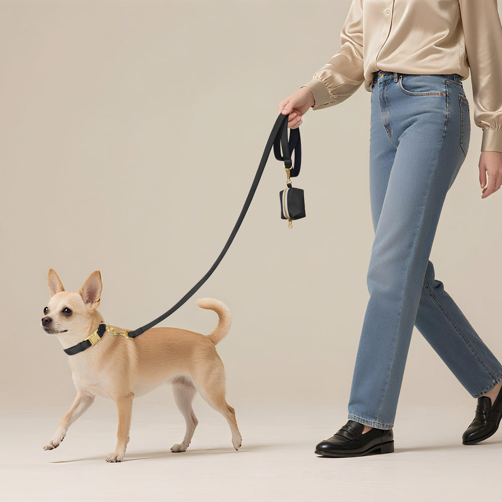 Didog collar de diseño ligero, perfecto para uso diario sin peso extra.