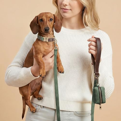 Fácil limpieza del collar Didog verde con paño húmedo.