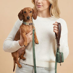 Fácil limpieza del collar Didog verde con paño húmedo.