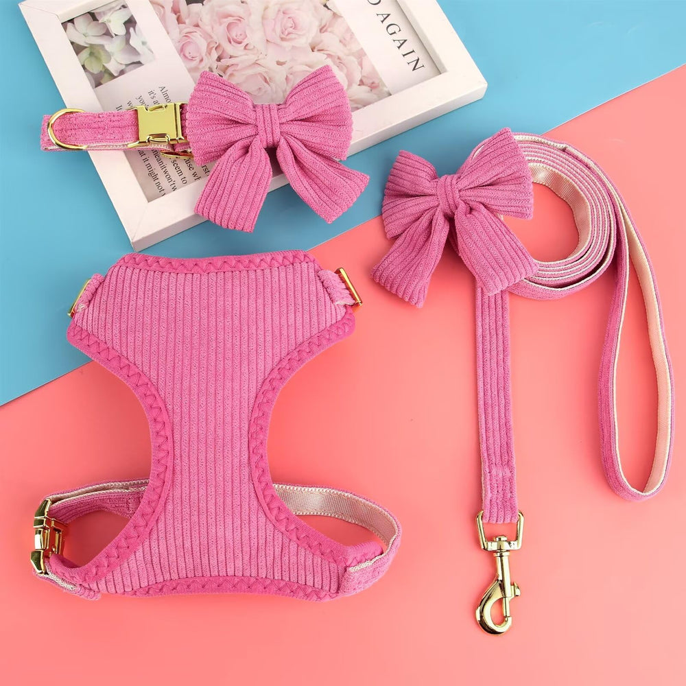 Didog collar and leash set with bowtie is gift-ready
