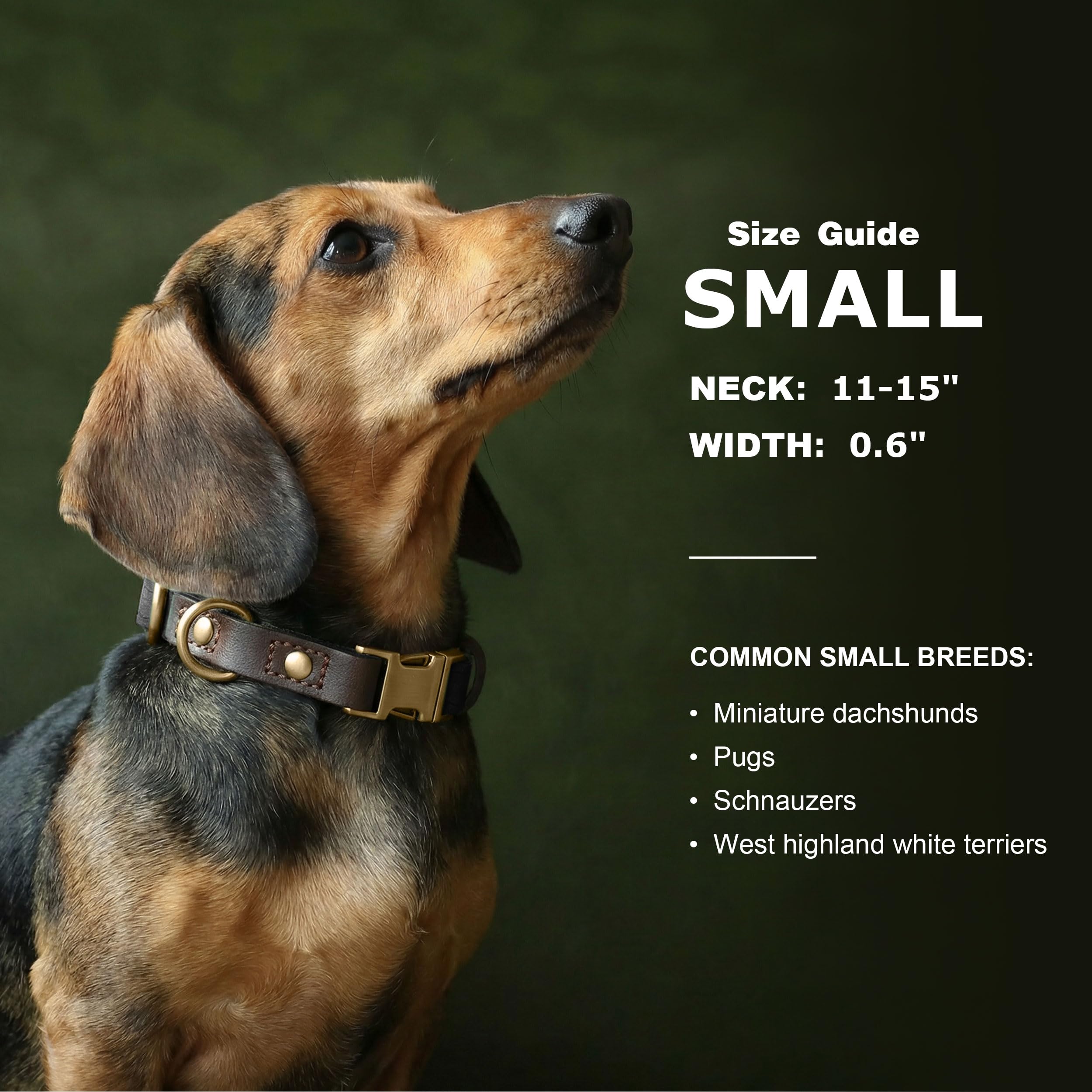 Didog collar con hebilla de metal clásica para seguridad y estilo