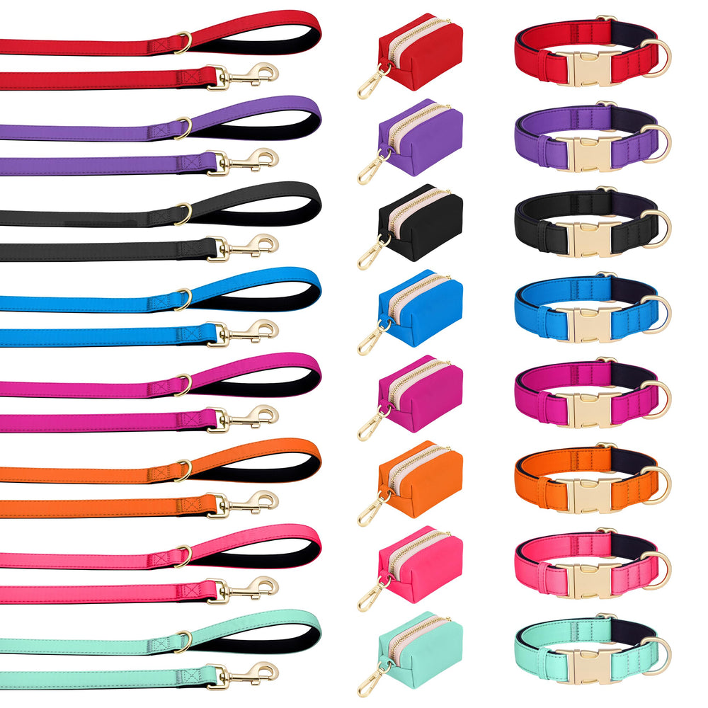 Didog collar en talla pequeña, apto para chihuahua y yorkshire.