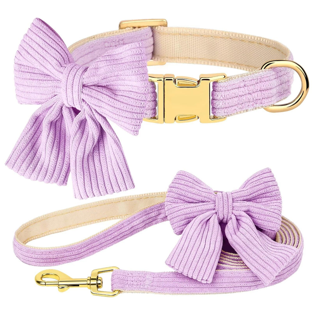 Didog cute dog collar and leash set with bowtie in purple, perfect for stylish daily walks.