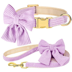 Didog cute dog collar and leash set with bowtie in purple, perfect for stylish daily walks.