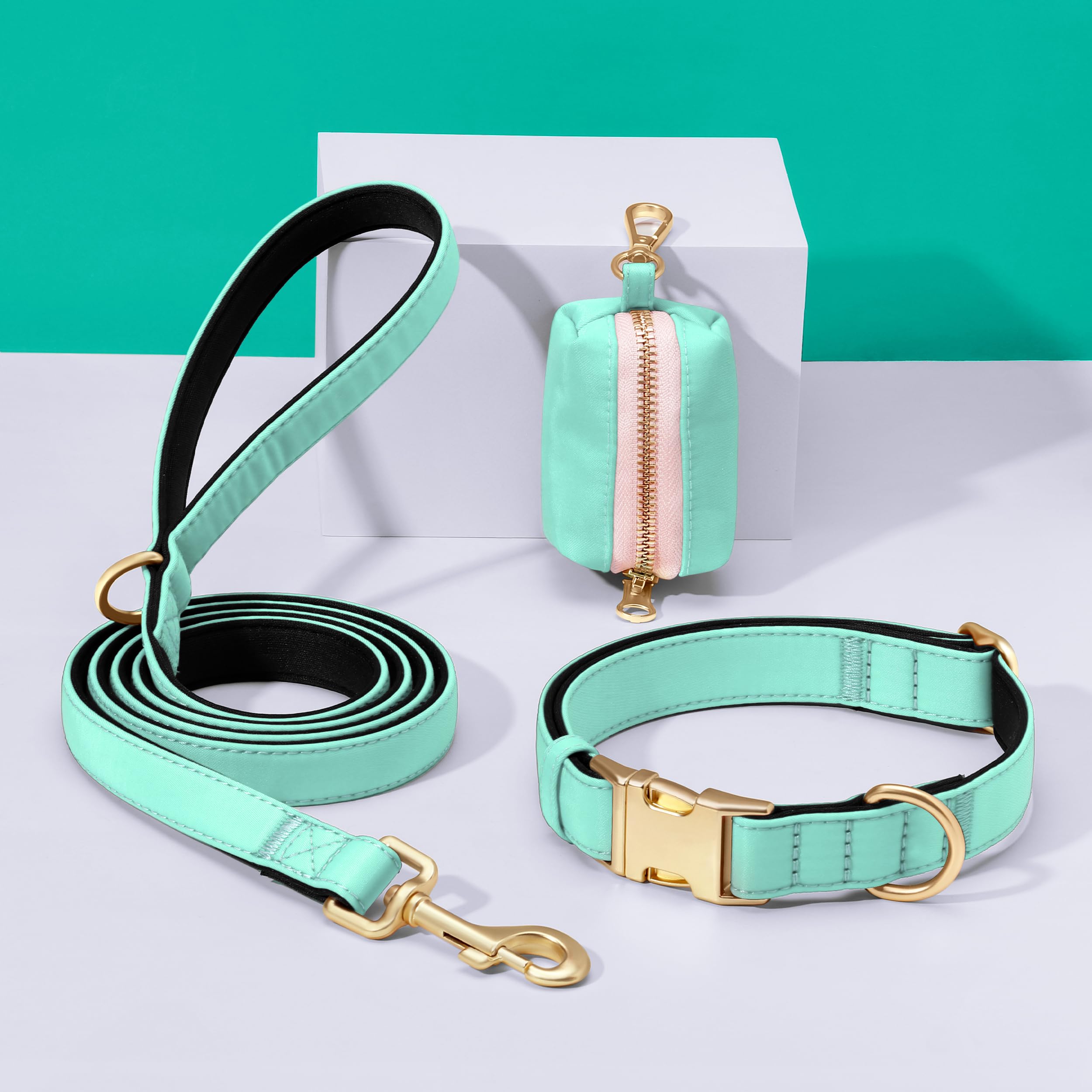 Didog mint-green collar during daily walks shows fresh, comfortable style