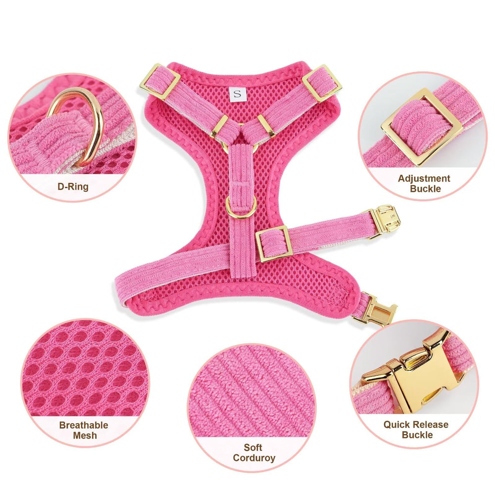 Didog detachable bowtie on collar for easy styling