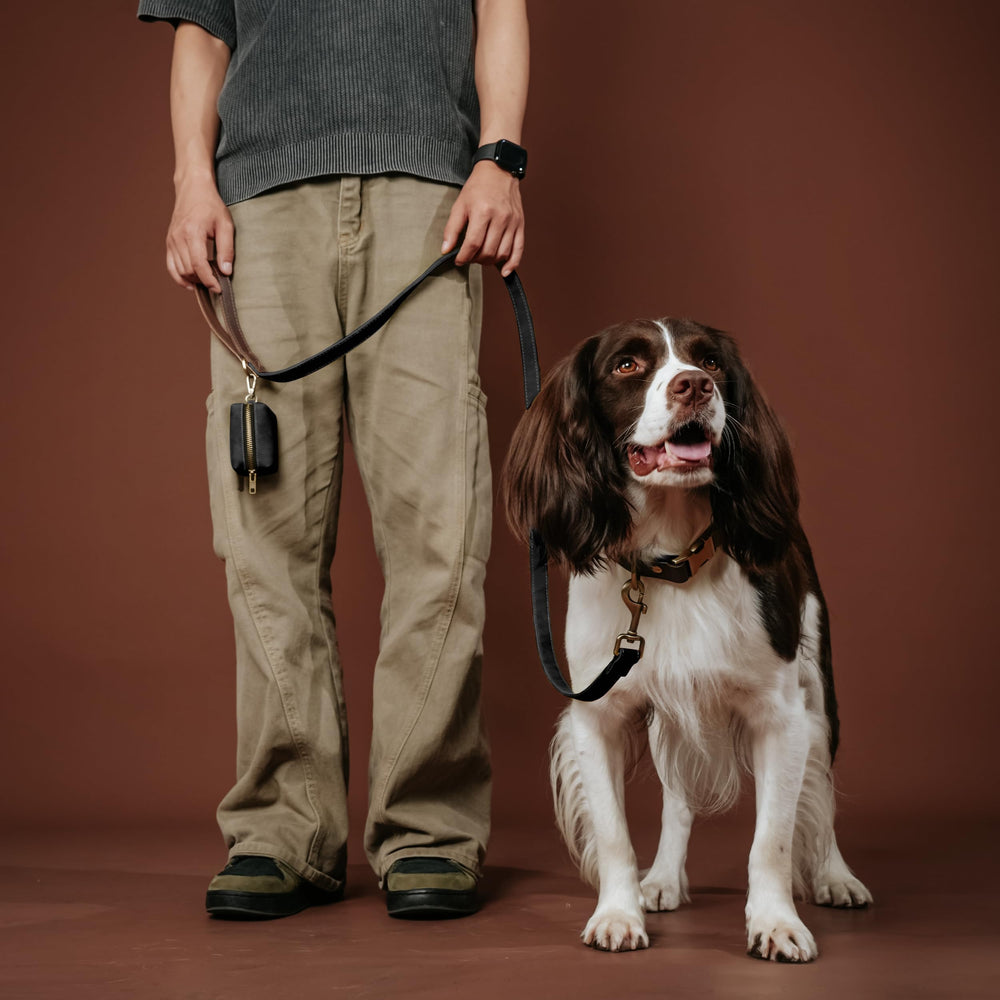 Didog PU leather collar easy-clean wipe-down demo for quick maintenance