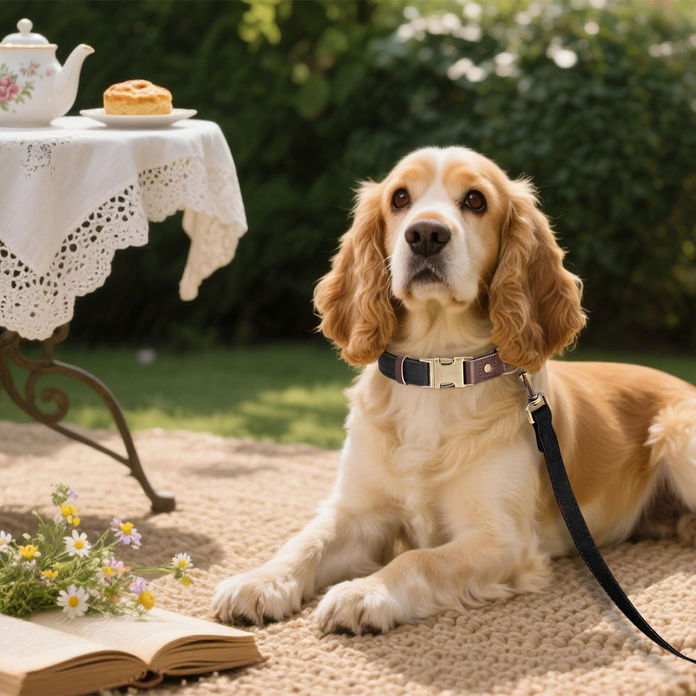 Didog nylon-lined collar interior highlighting skin-friendly comfort for all-day wear