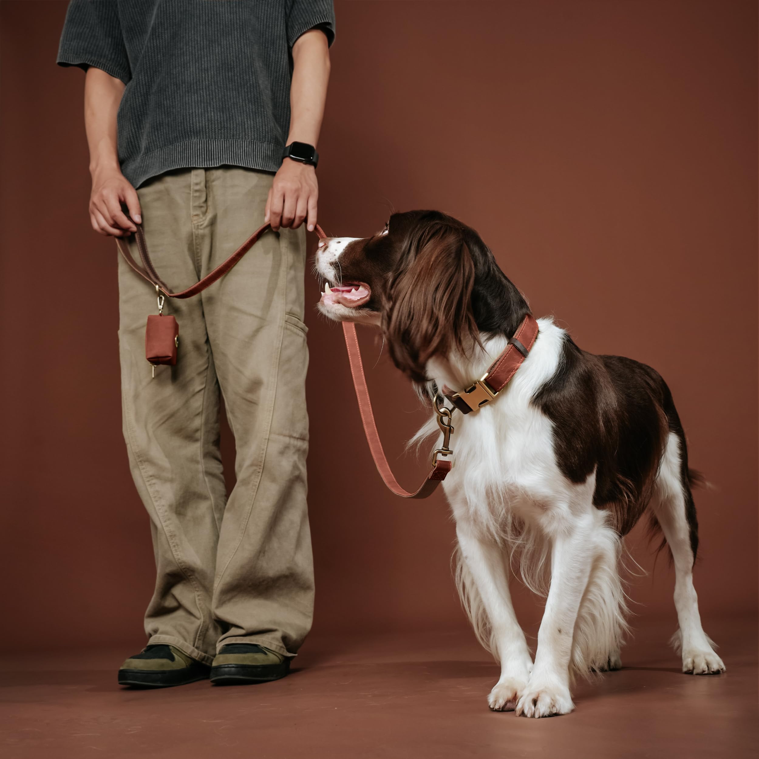 Didog easy-clean PU leather dog collar wipes clean with a damp cloth