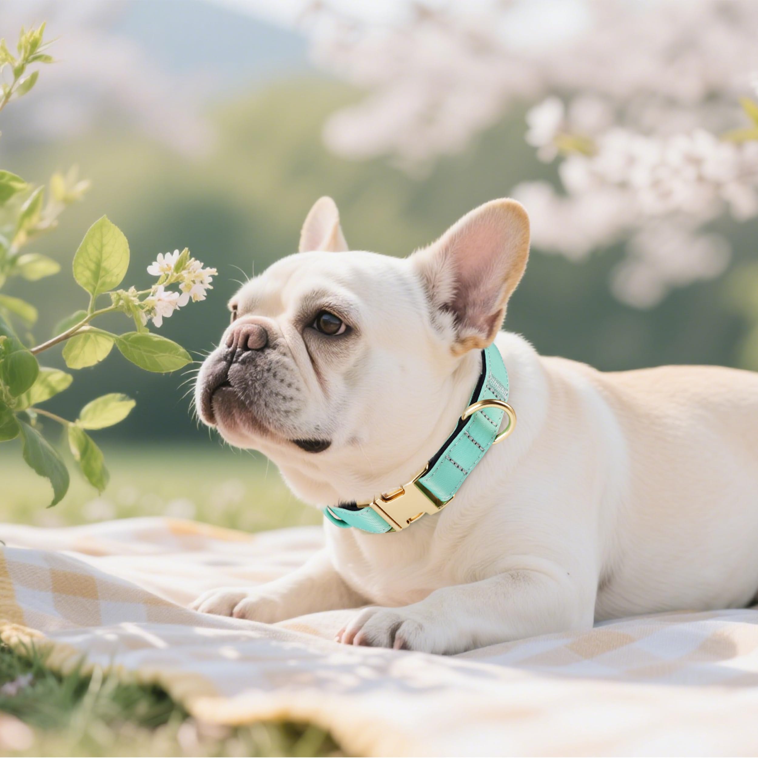 Didog eco nylon texture emphasizes durable, weather-ready materials