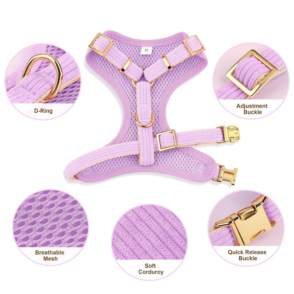 Didog gold metal hardware dog harness: durable, rust-resistant buckles for easy on/off.