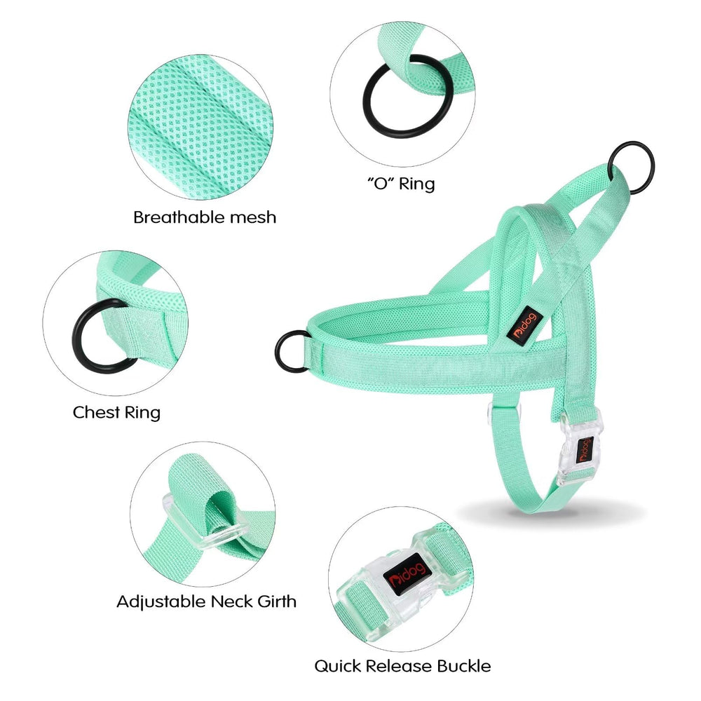 Didog harness colorful design green option for stylish, visible pet during walks.