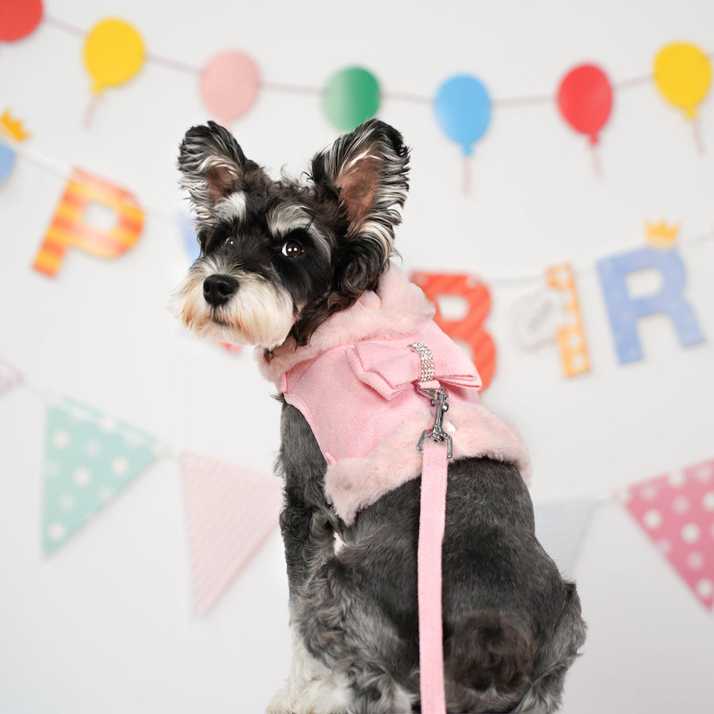 Didog harness with removable plush collar pink adds cozy warmth.