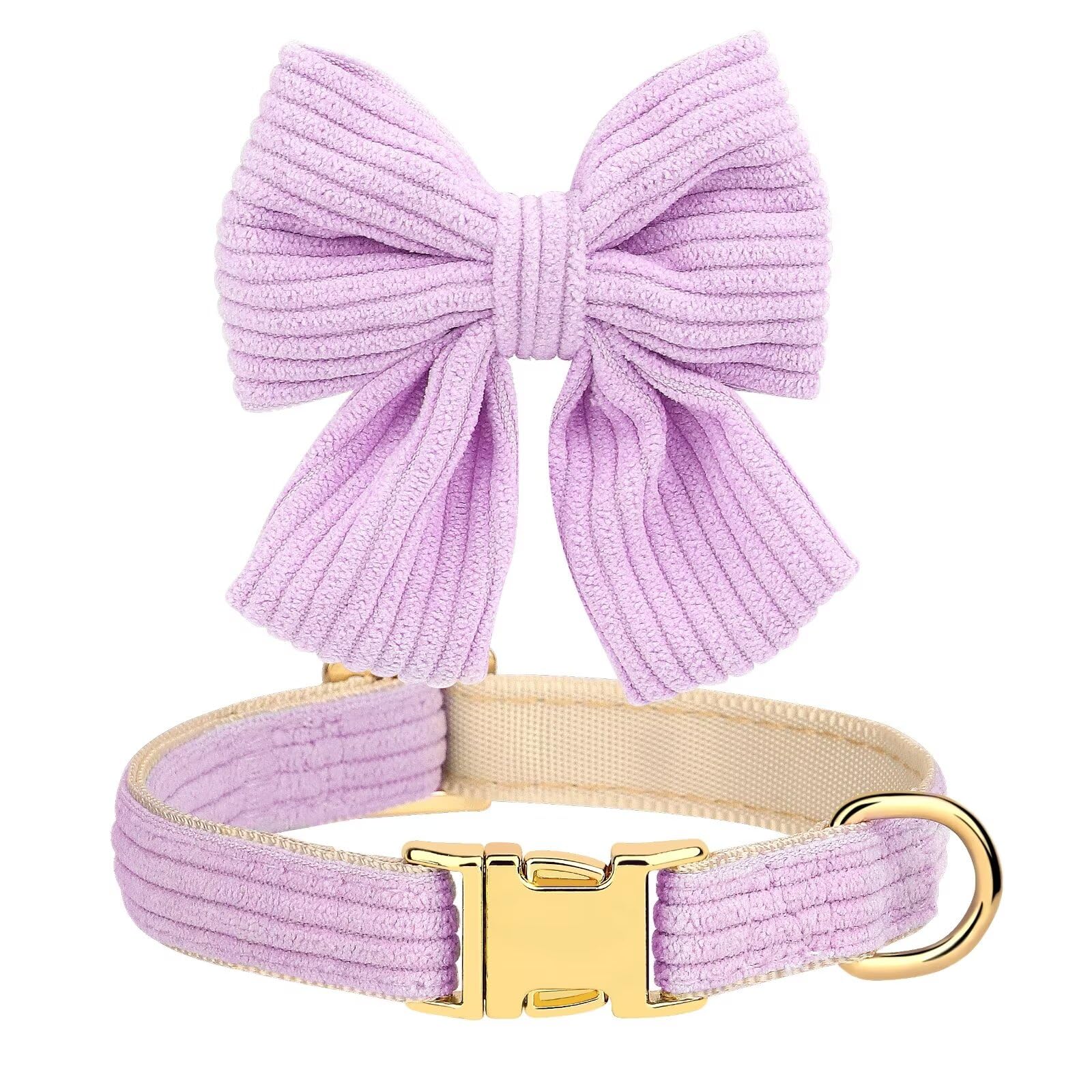 Didog leash bowtie closeup in purple highlights fashion forward detail for outings.