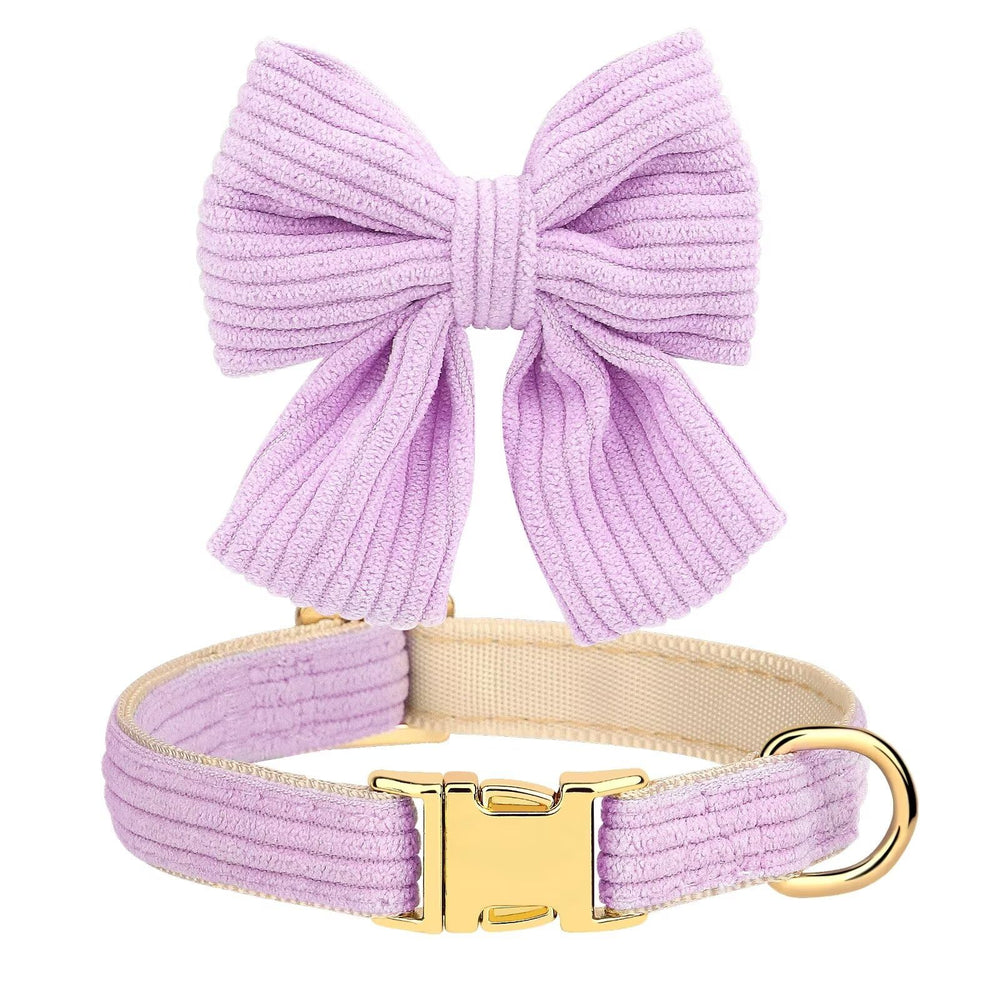 Didog leash bowtie closeup in purple highlights fashion forward detail for outings.