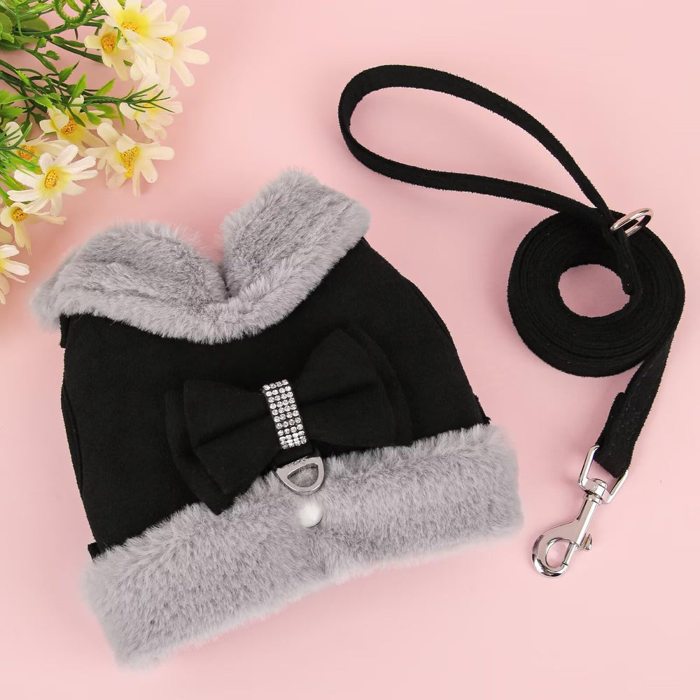Didog leash set with black harness for complete stroll-ready gear.