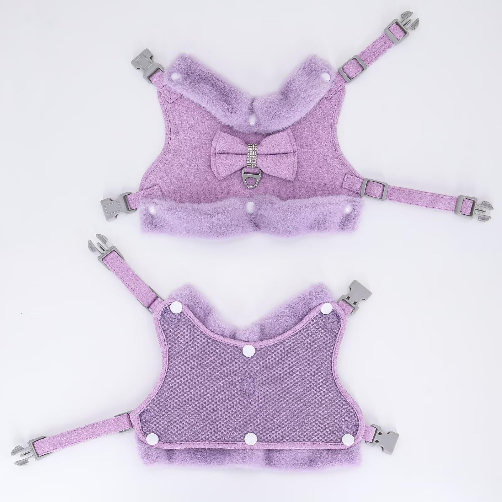 Didog leash set with soft handle in purple complements the harness
