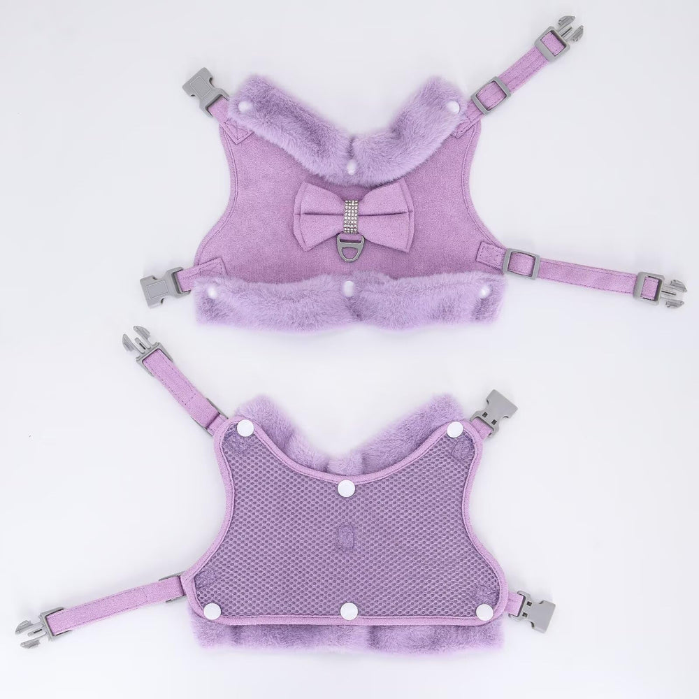 Didog leash set with soft handle in purple complements the harness